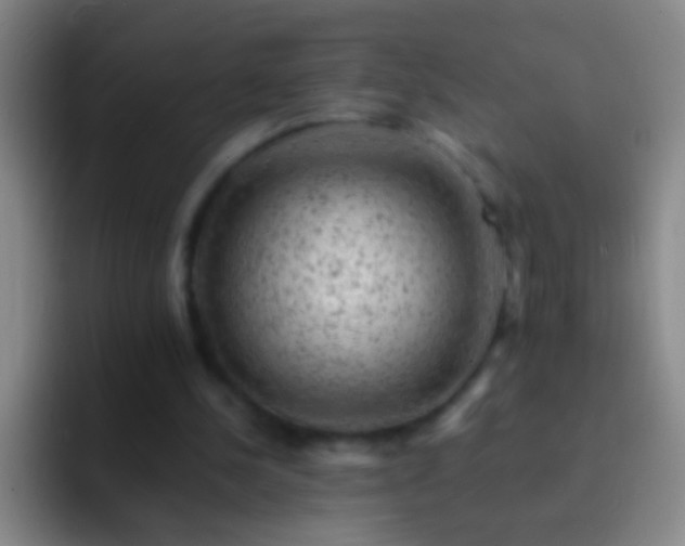 X0000092300244200709211236