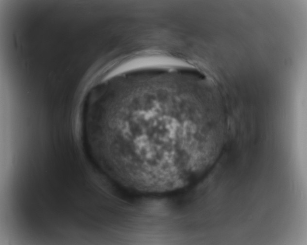 X0000092300247200709211236