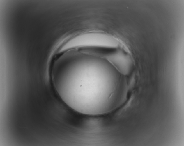 X0000092300248200709211236