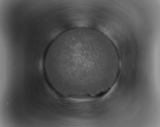 X0000092300249200709211236