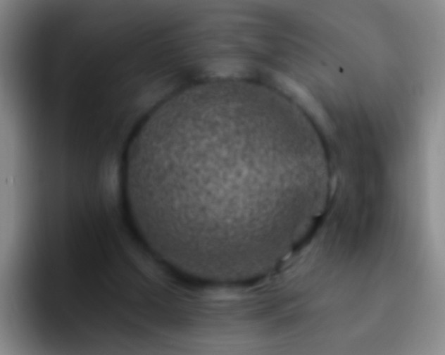 X0000092300250200709211236