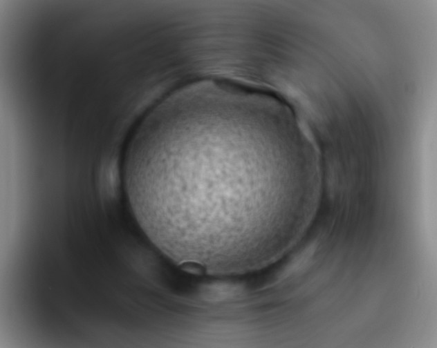 X0000092300251200709211236