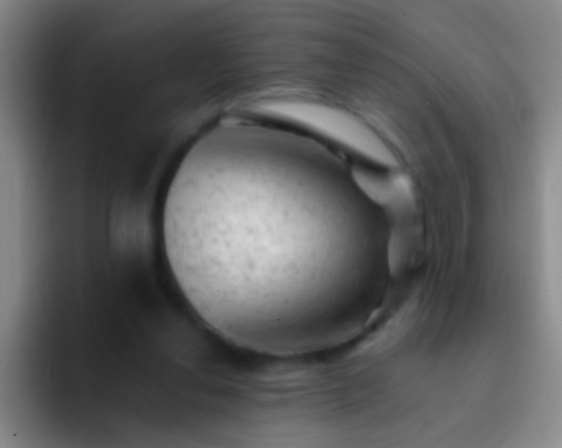 X0000092300252200709211236