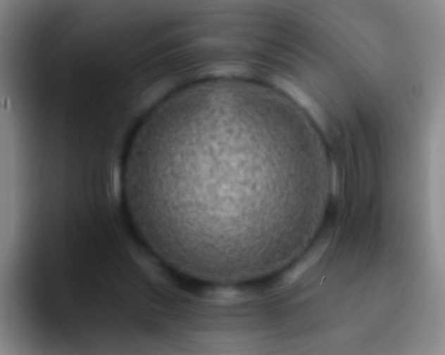 X0000092300253200709211236