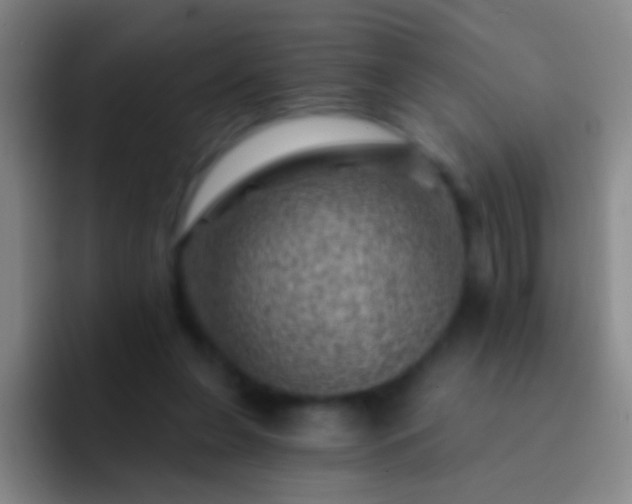 X0000092300255200709211236