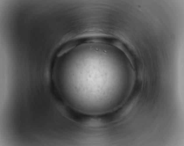 X0000092300256200709211236