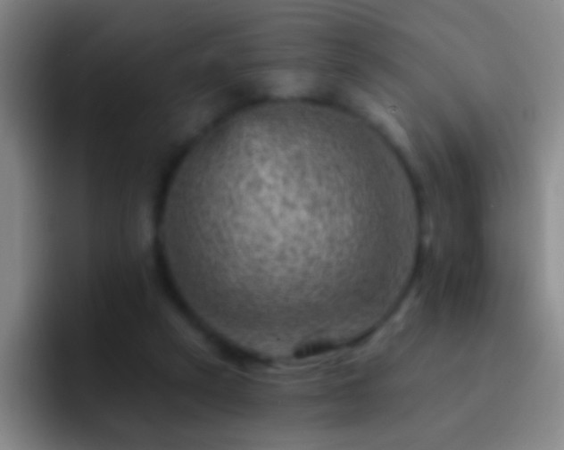 X0000092300257200709211236