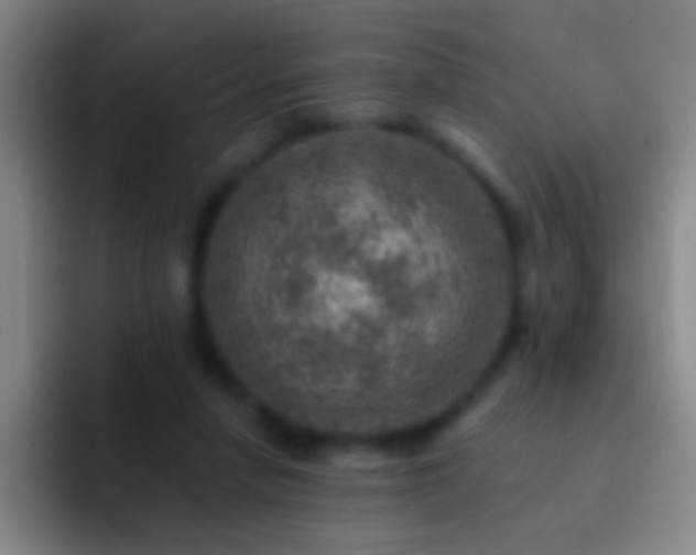 X0000092300258200709211236