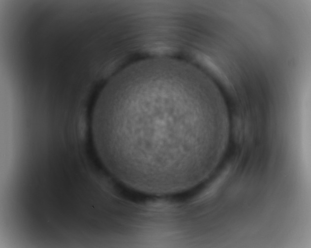 X0000092300259200709211236