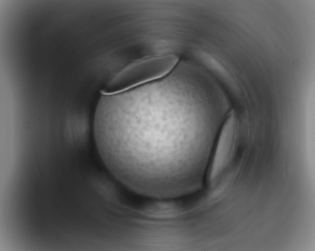X0000092300260200709211236