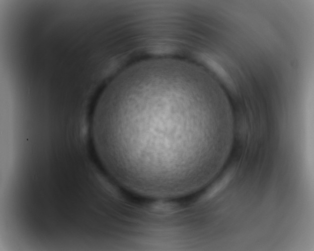 X0000092300261200709211236
