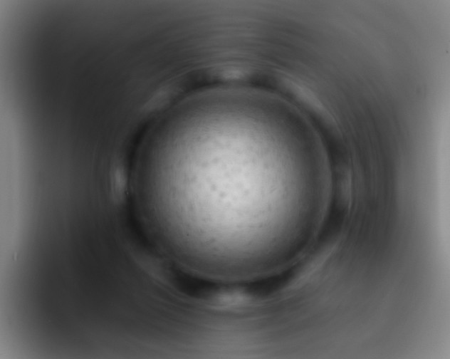 X0000092300262200709211236