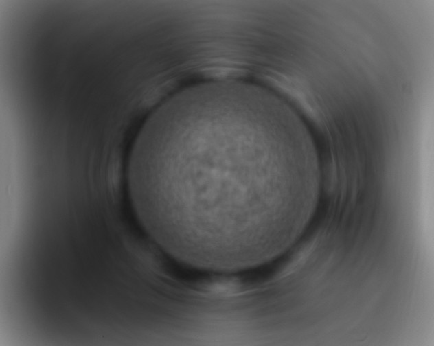 X0000092300263200709211236