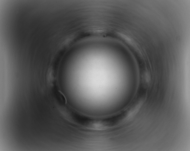 X0000092300264200709211236