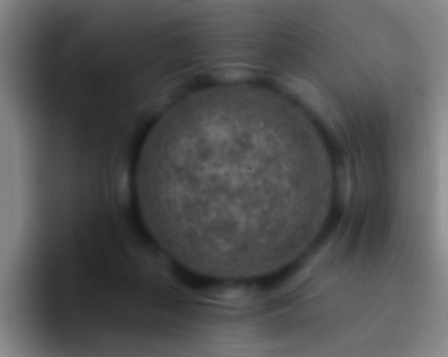 X0000092300267200709211236