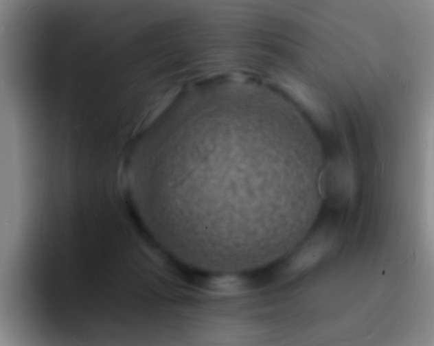 X0000092300269200709211236