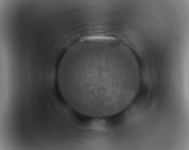X0000092300271200709211236