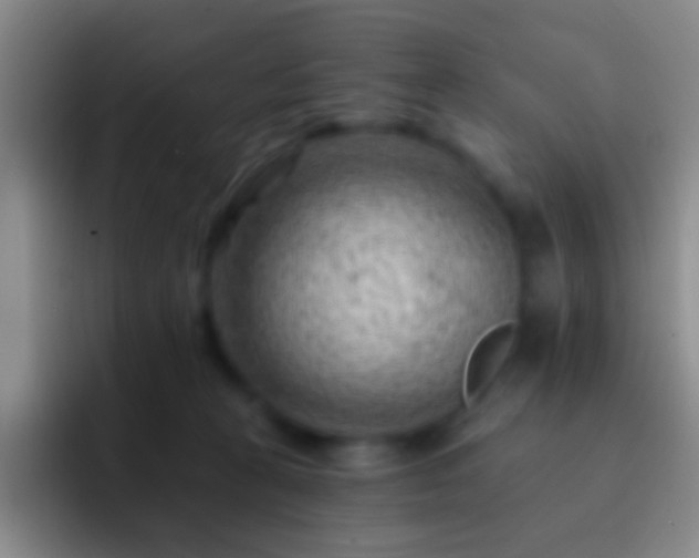X0000092300273200709211237