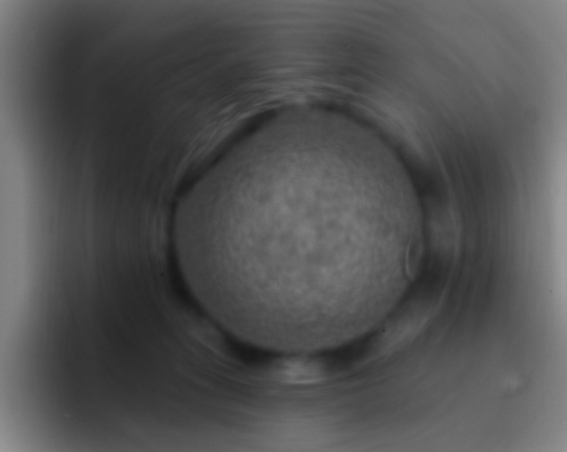 X0000092300275200709211237