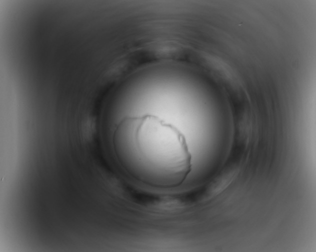 X0000092300278200709211237