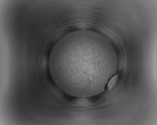 X0000092300279200709211237