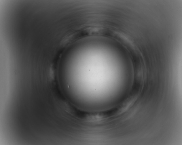 X0000092300282200709211237