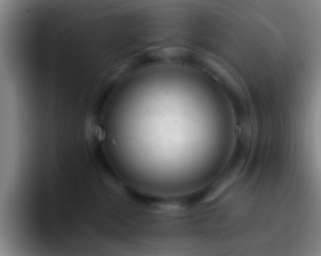 X0000092300284200709211237