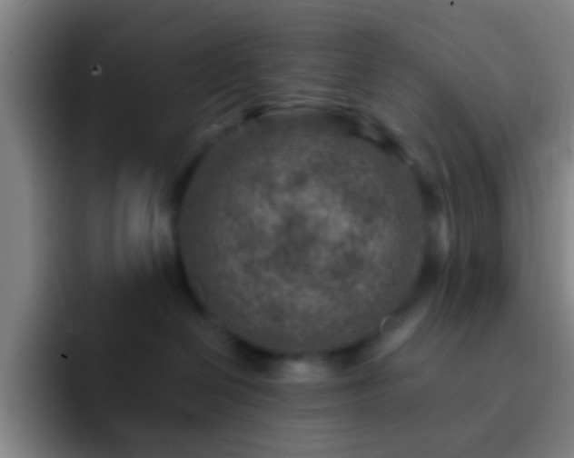 X0000092300286200709211237