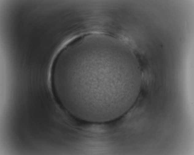 X0000092300292200709211236