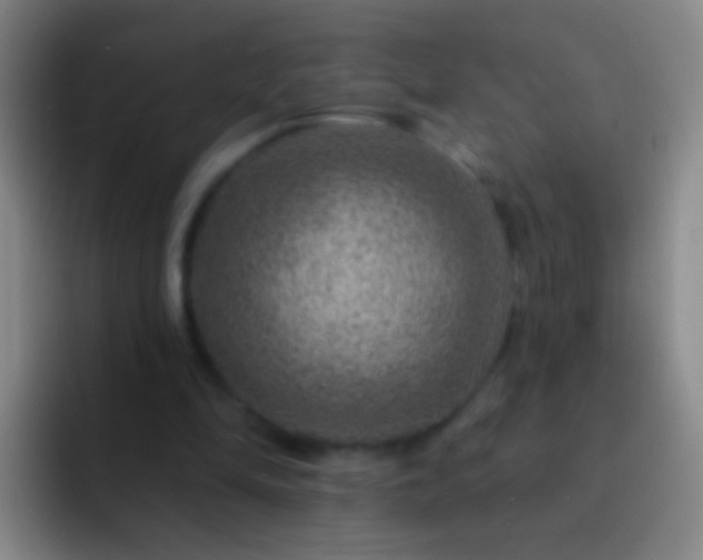 X0000092300294200709211236