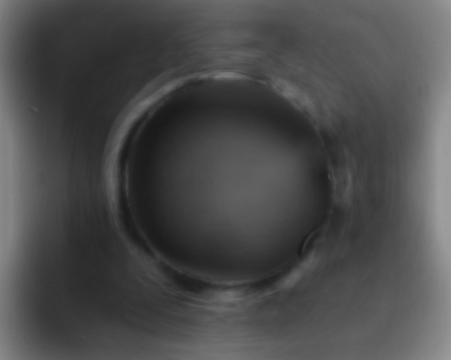 X0000092300295200709211236
