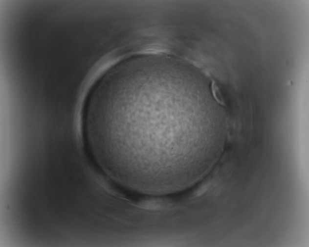 X0000092300296200709211236