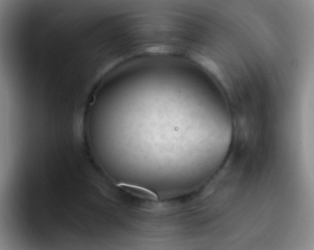 X0000092300297200709211236