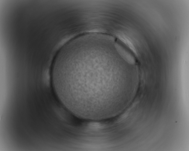 X0000092300298200709211236