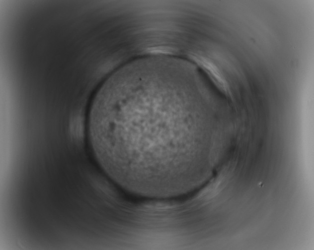 X0000092300299200709211236