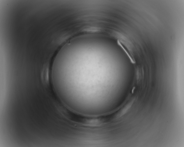 X0000092300301200709211236