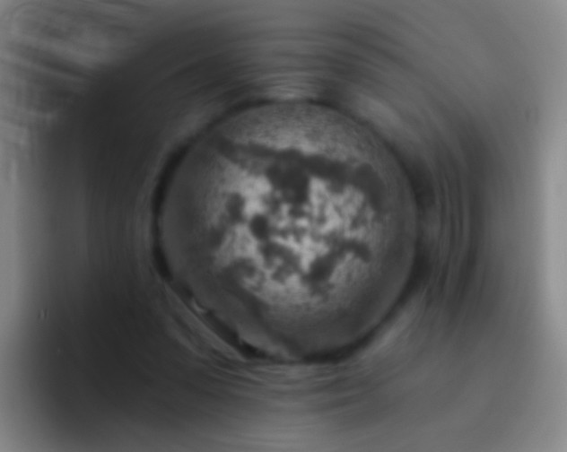 X0000092300303200709211236