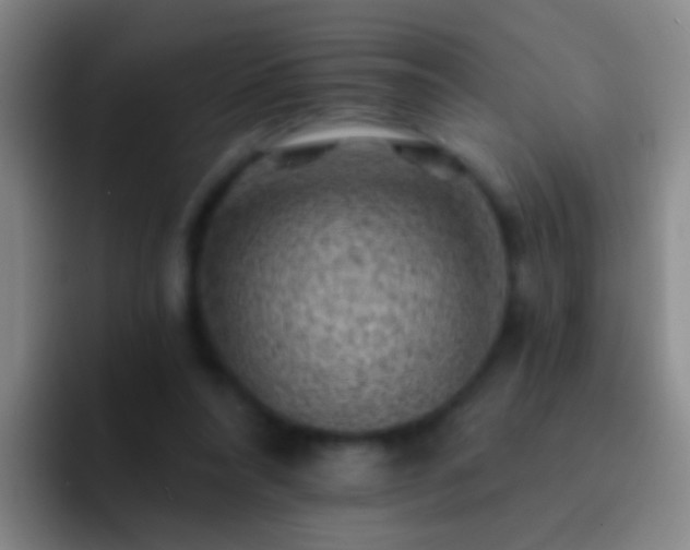 X0000092300304200709211236