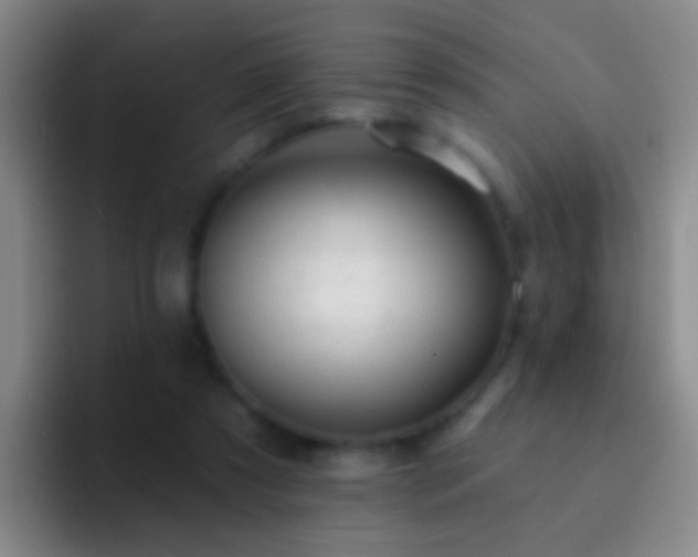 X0000092300305200709211236