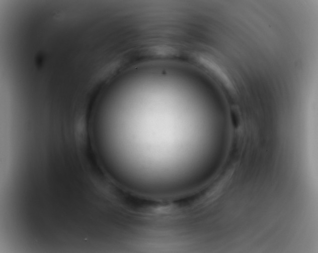 X0000092300306200709211236