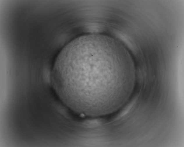X0000092300307200709211236
