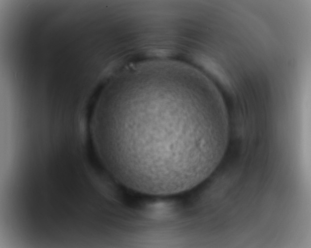 X0000092300312200709211236