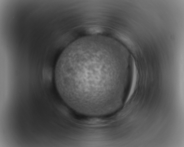 X0000092300315200709211236