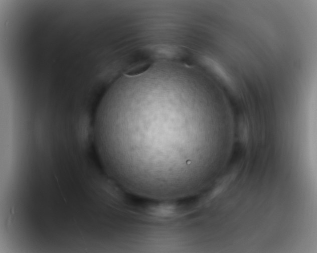 X0000092300318200709211236