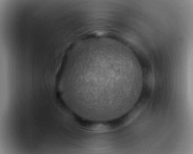 X0000092300319200709211236