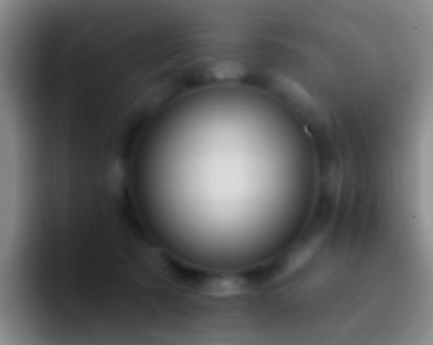 X0000092300321200709211236