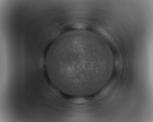 X0000092300322200709211236