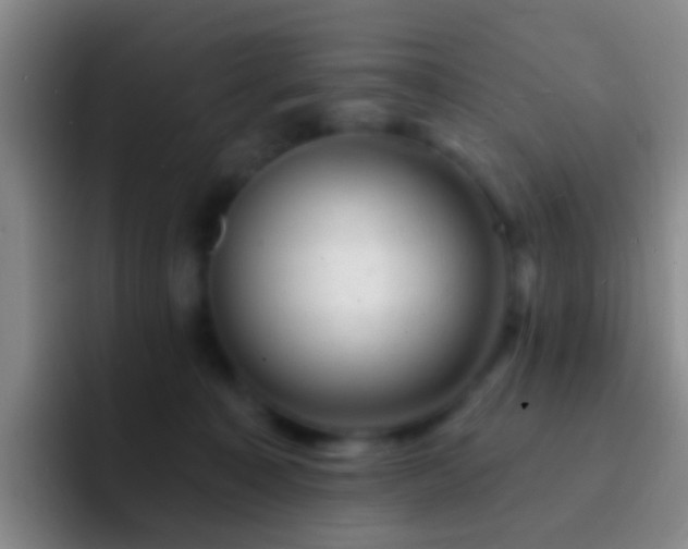 X0000092300323200709211236