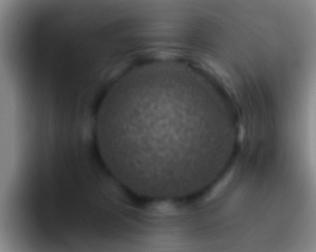X0000092300325200709211236