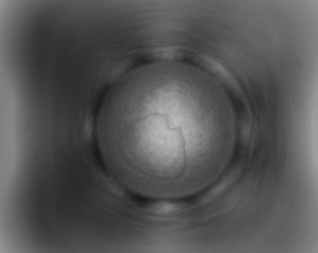 X0000092300326200709211236